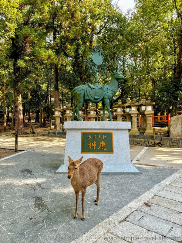 奈良の世界遺産 春日大社の神鹿像