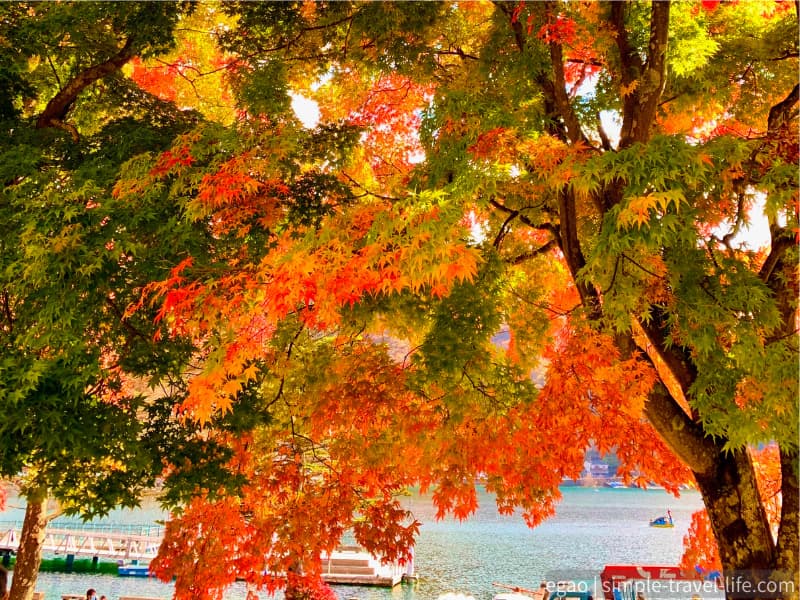 紅葉の隙間から見える中禅寺湖