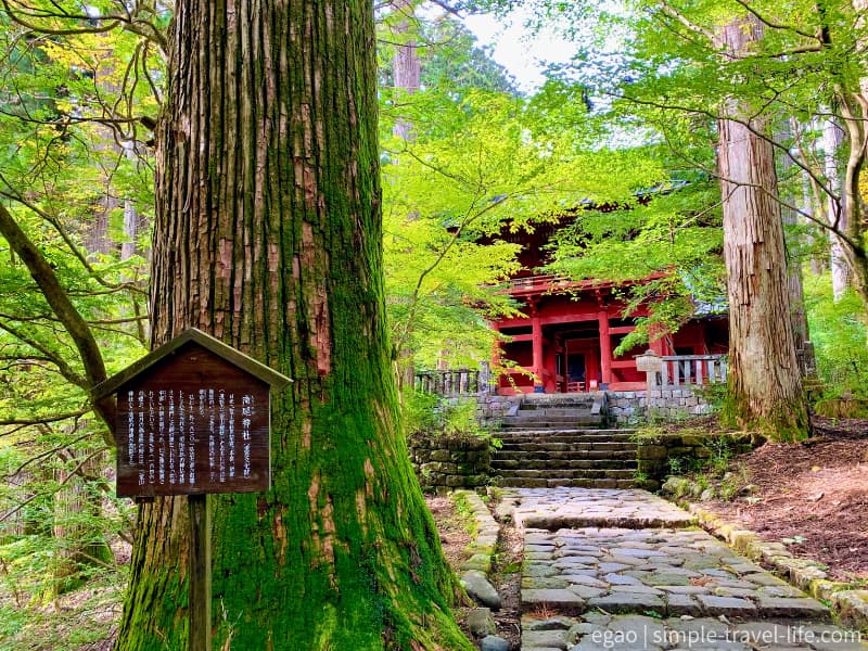 子授け・安産の神様として知られる二荒山神社の別宮の滝尾神社