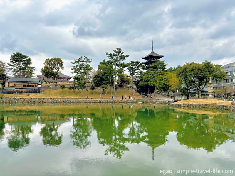 奈良公園の猿沢池に映る世界遺産 興福寺五重塔と景色｜奈良観光の人気フォトスポット