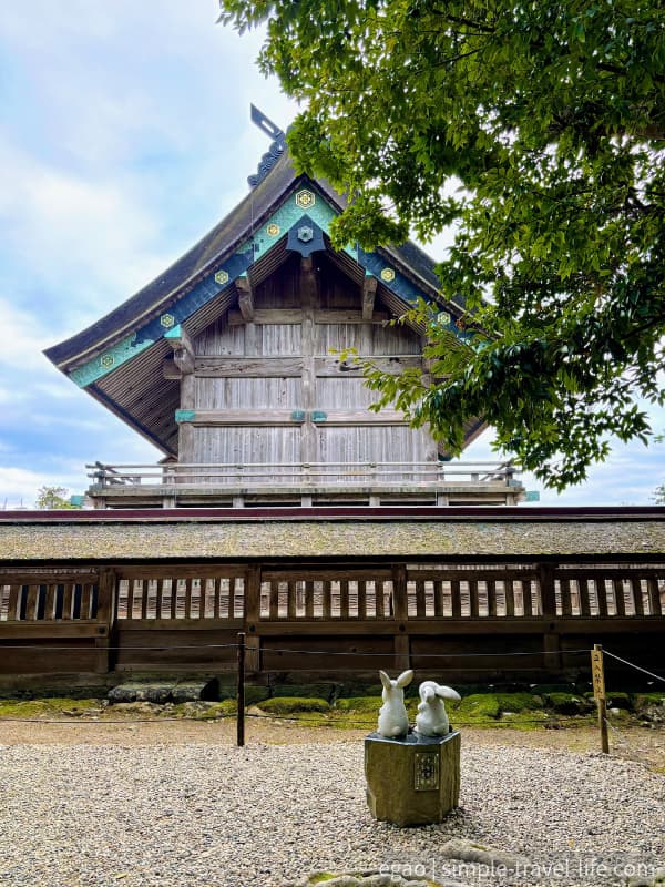 本殿裏で本殿に手を合わせるウサギ