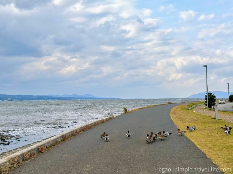 のどかな空気の朝の宍道湖畔の様子