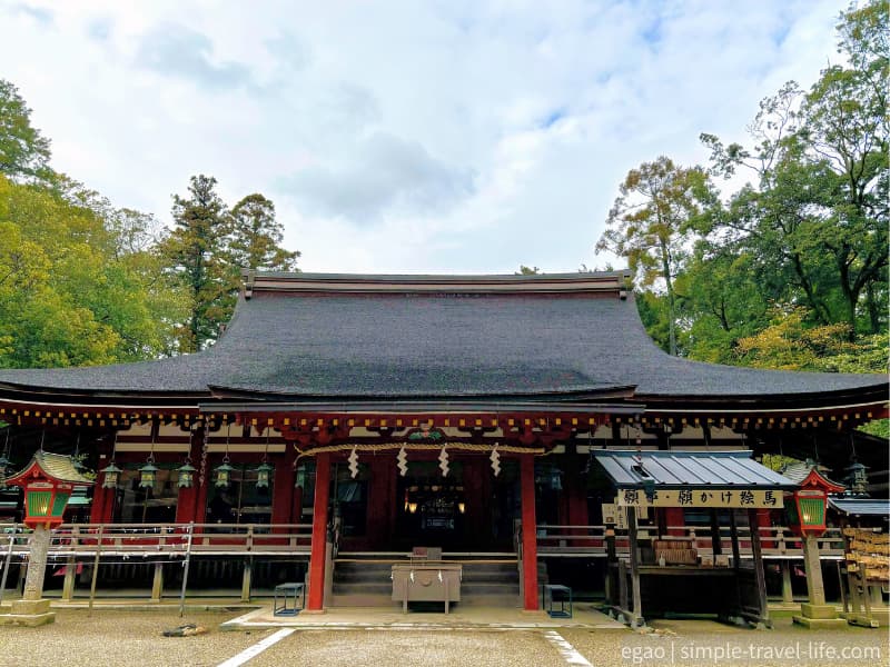 奈良県天理市の石上神宮。放し飼いの鶏がいる日本有数の歴史ある神社