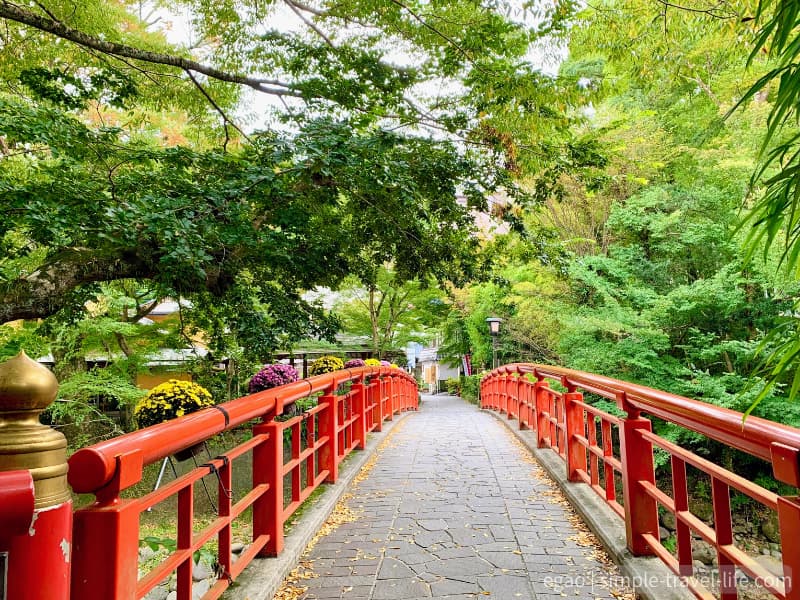 修善寺の竹林の小径から続く緑の中に朱色が映える橋