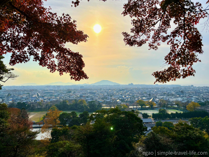 柔らかな太陽と紅葉の中に浮かぶ荒神山
