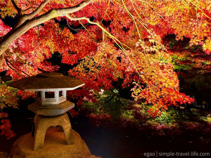 輝く紅葉と石灯籠