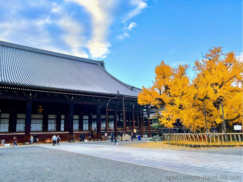 国宝御影堂と大銀杏が圧倒的な境内の様子