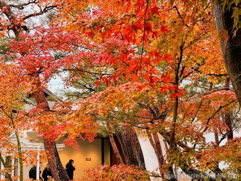 紅葉に彩られた木々と魯山人館入口