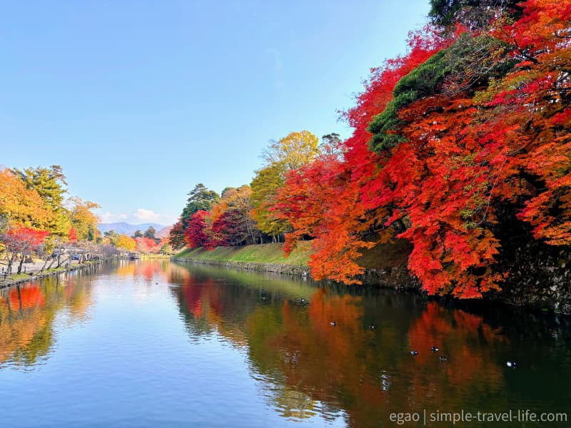 玄宮園と彦根城の間の紅葉に染まるお堀の様子