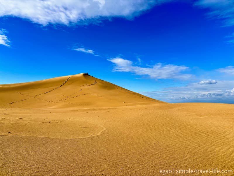 一面の果てしなく続く砂丘の景色