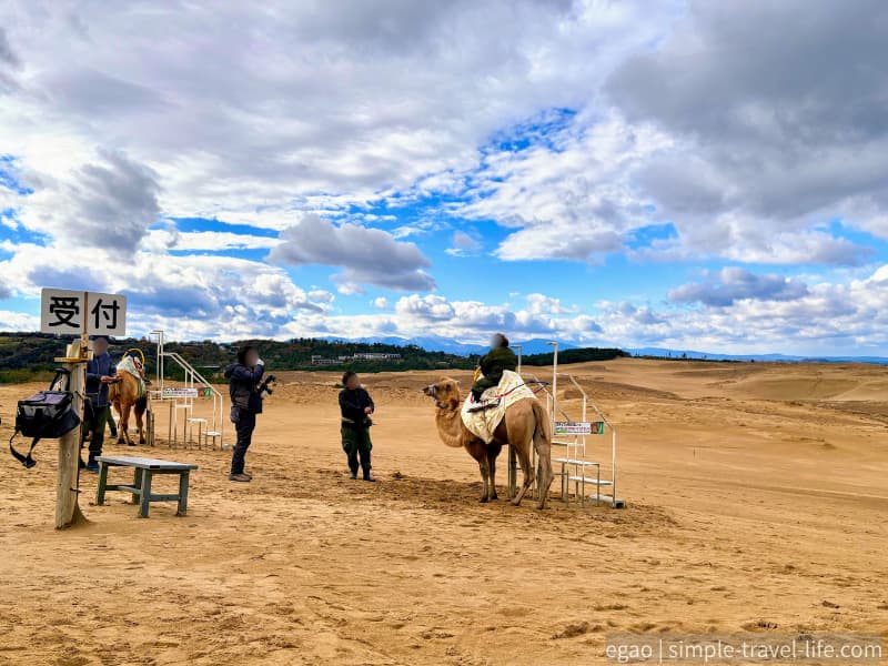 ラクダの記念撮影スポットでラクダに乗る観光客