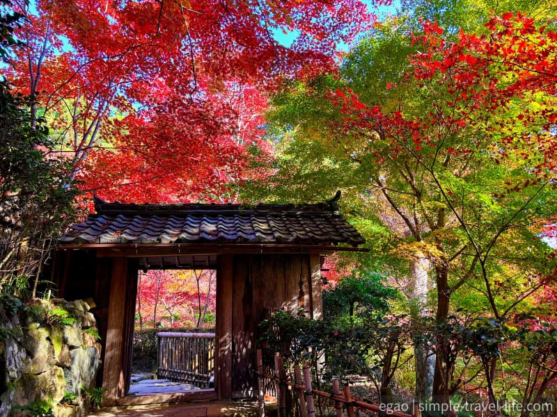 教林坊の入口と周辺の紅葉