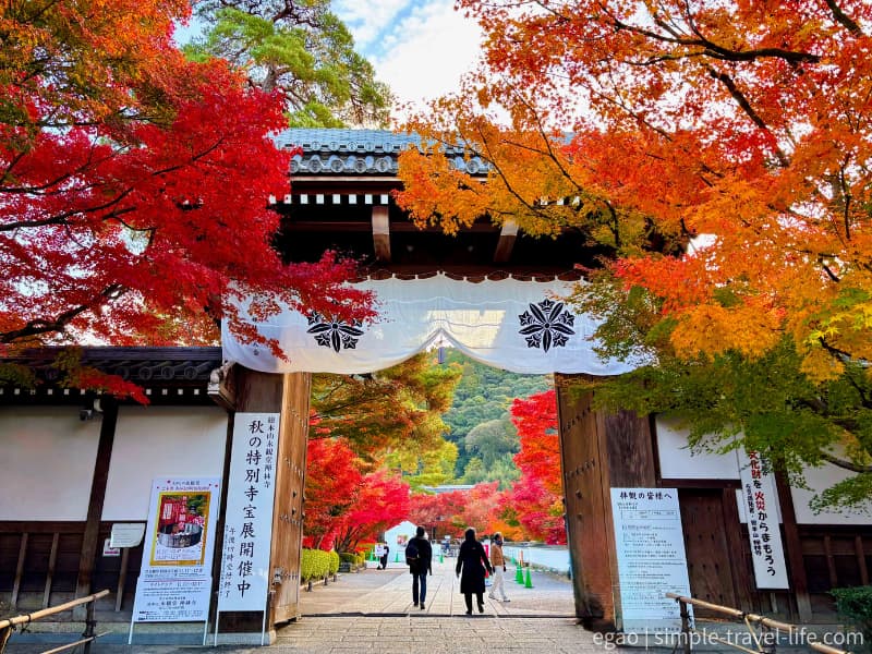 紅葉に彩られた永観堂の総門前の様子