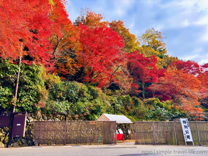 紅葉に包まれた白龍園の入口