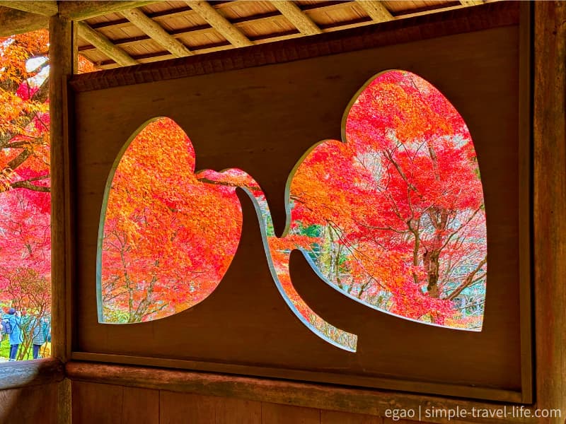 彩雲亭のカンアオイの窓から見る紅葉