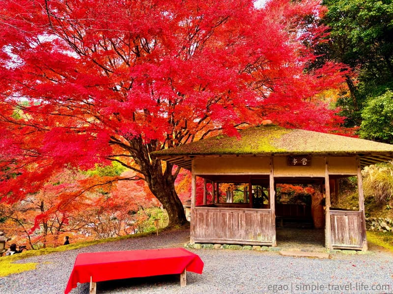 園内の高い場所に造られた彩雲亭の外観