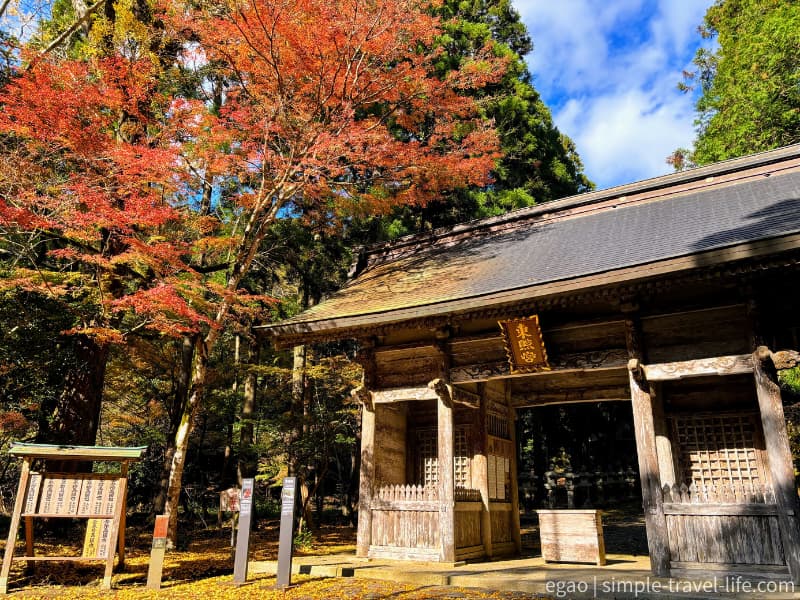 おうちだに公園の遊歩道を散策しながら着いた東照宮