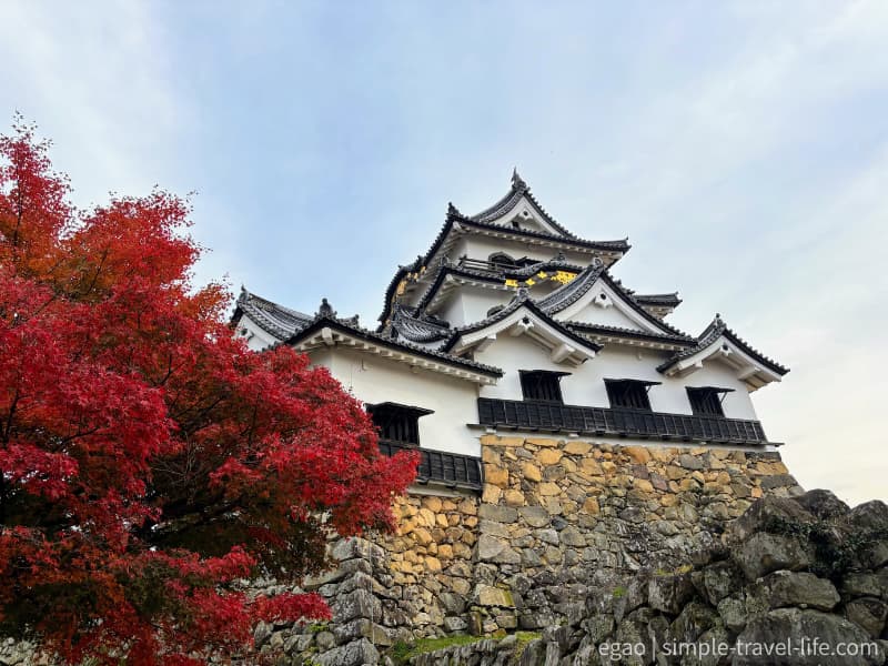 天守の白壁と紅葉の美しいコントラスト