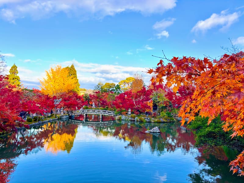 紅葉がリフレクションした素晴らしい放生池