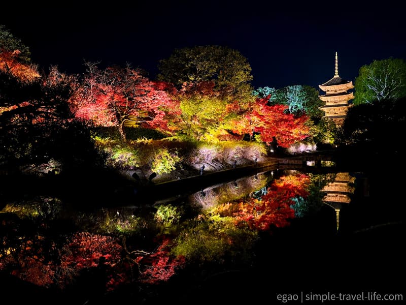 ライトアップされ、水面に映る五重塔と紅葉