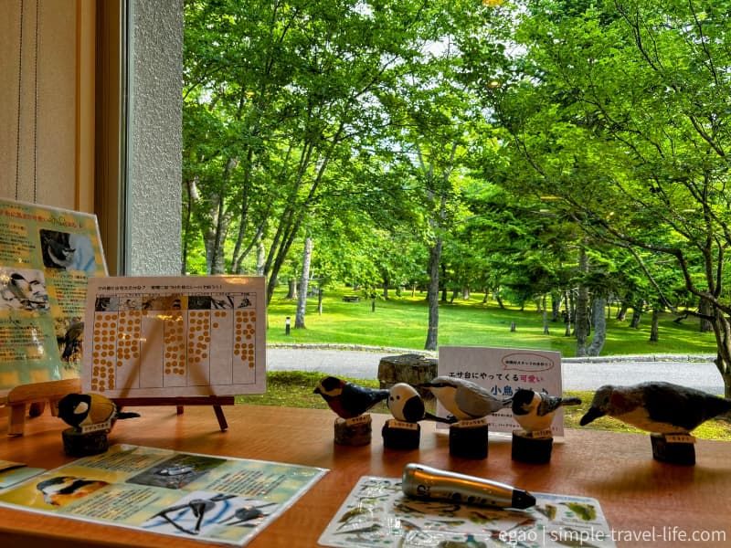 休暇村支笏湖のレストランの窓辺に並ぶ5羽の小鳥の木彫りと、野鳥の解説パネル
