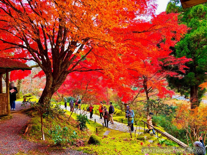 高い位置にある彩雲亭から見下ろす庭園の様子