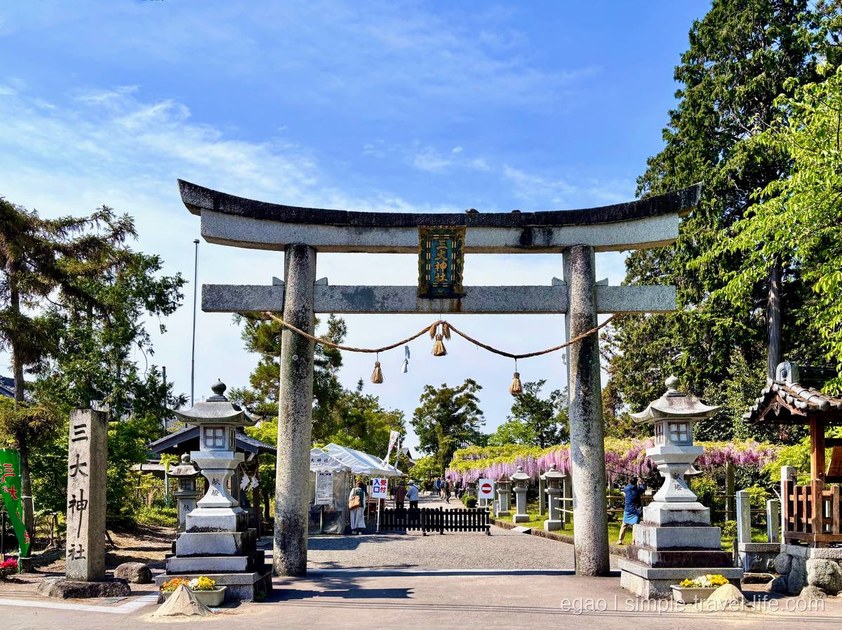 三大神社の鳥居越しに見える藤棚