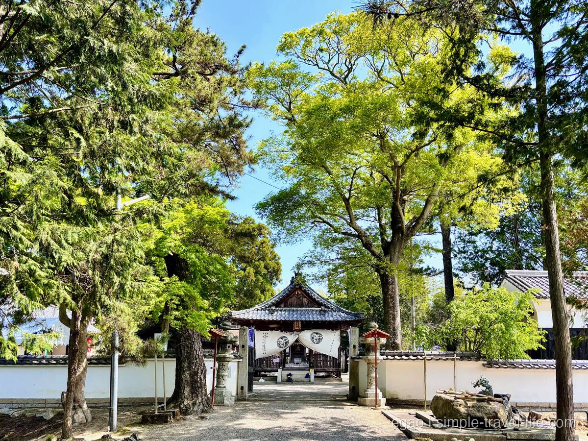 木漏れ日が差す志那神社の境内