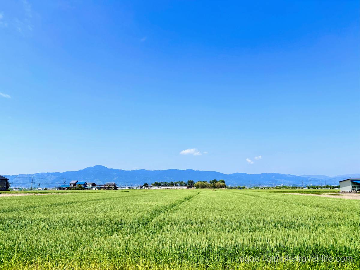 青空の下に広がる緑の田畑と山並み