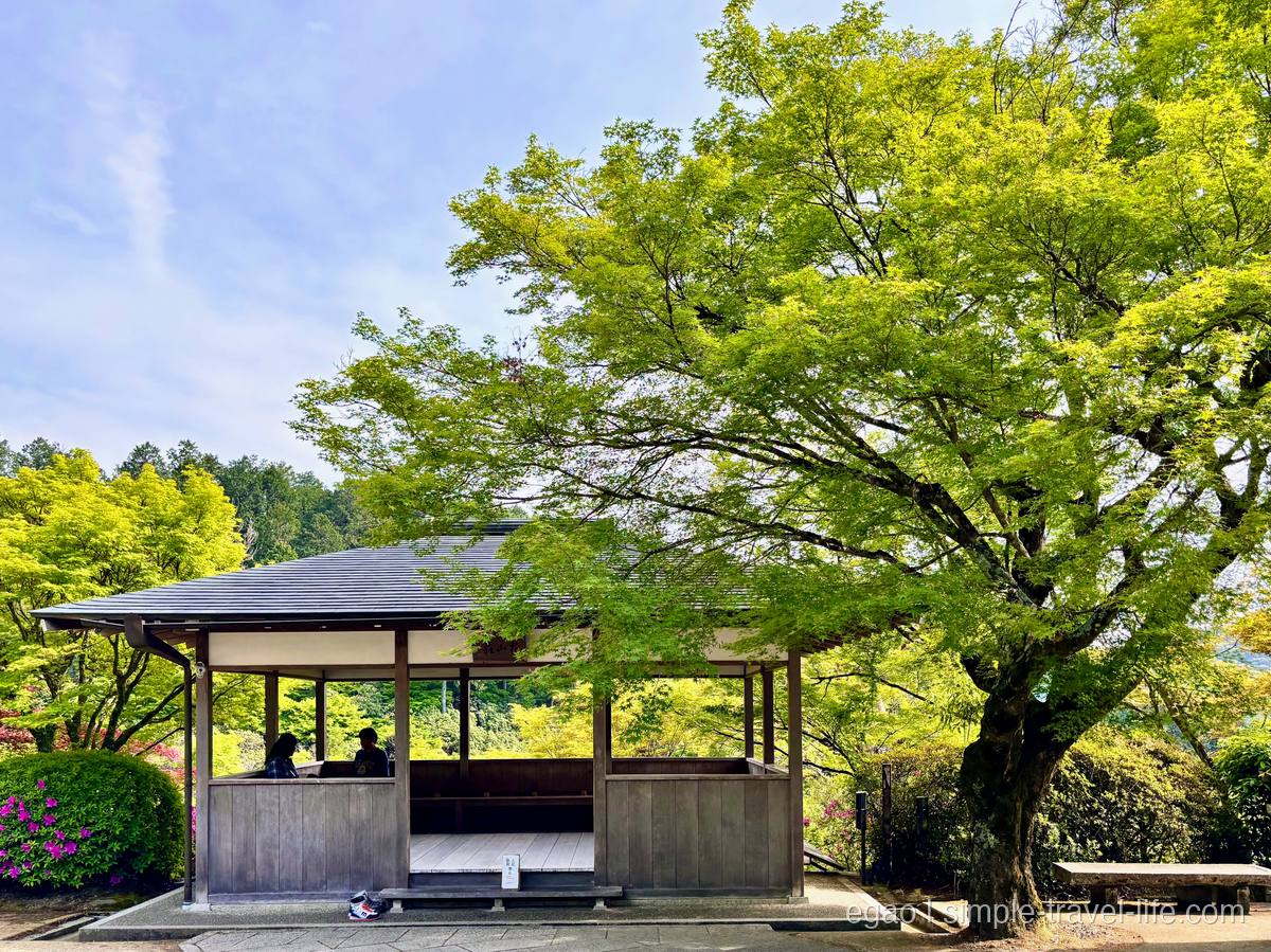 三室戸寺境内の休憩所と新緑の木々