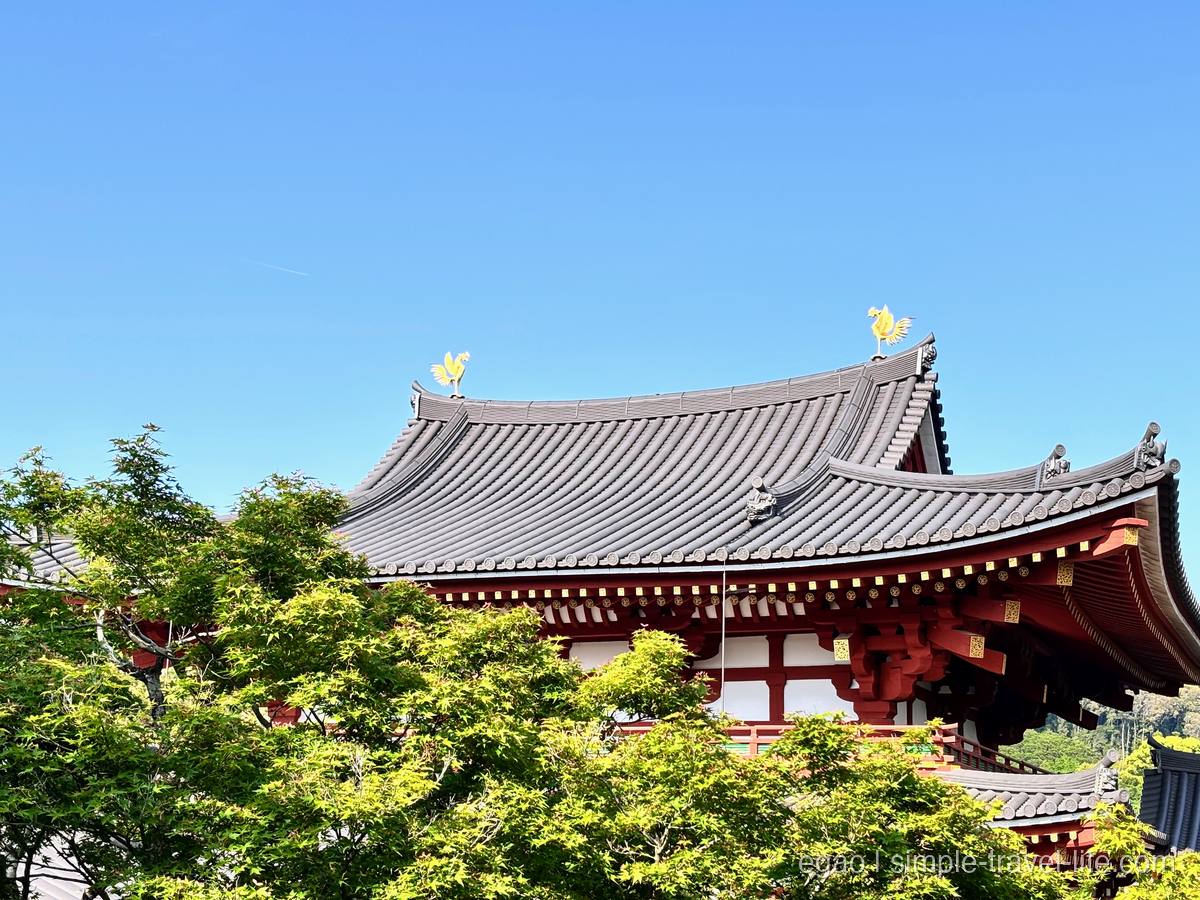 平等院鳳凰堂の屋根に輝く金色の鳳凰像