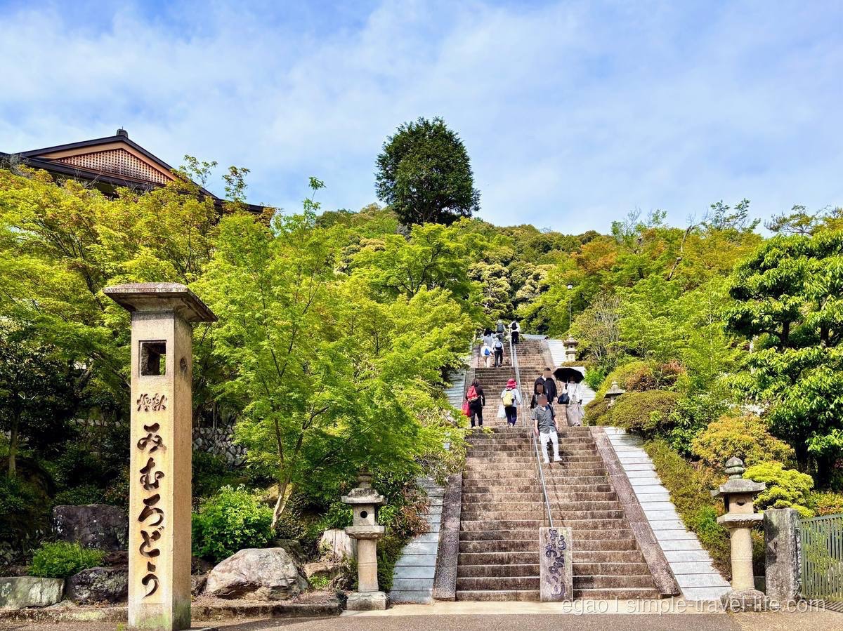 新緑に包まれた三室戸寺の参道の石段