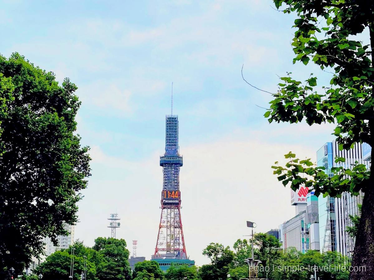 大通公園の木々の間からのぞく、さっぽろテレビ塔の鉄骨の塔体