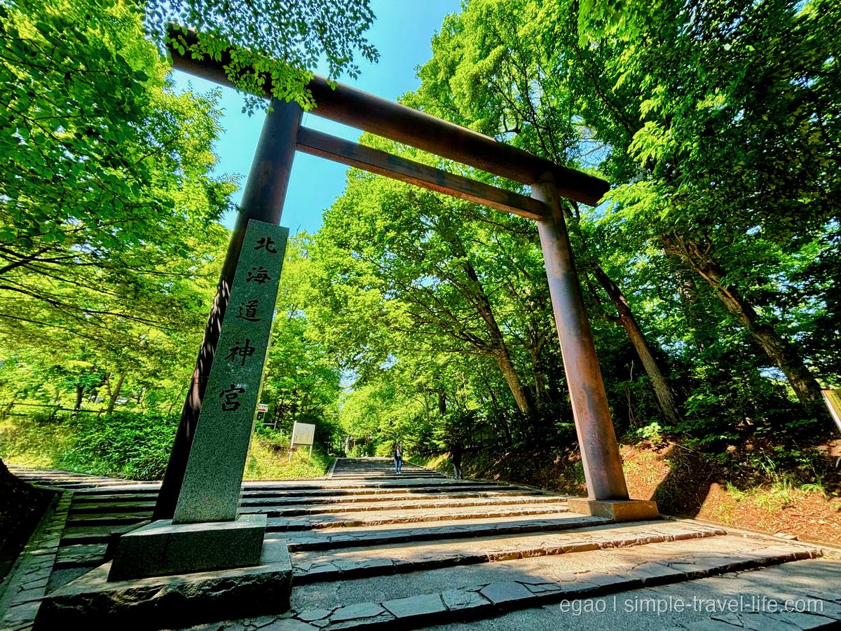 新緑に包まれた北海道神宮の大鳥居と「北海道神宮」の社号標、石畳の参道