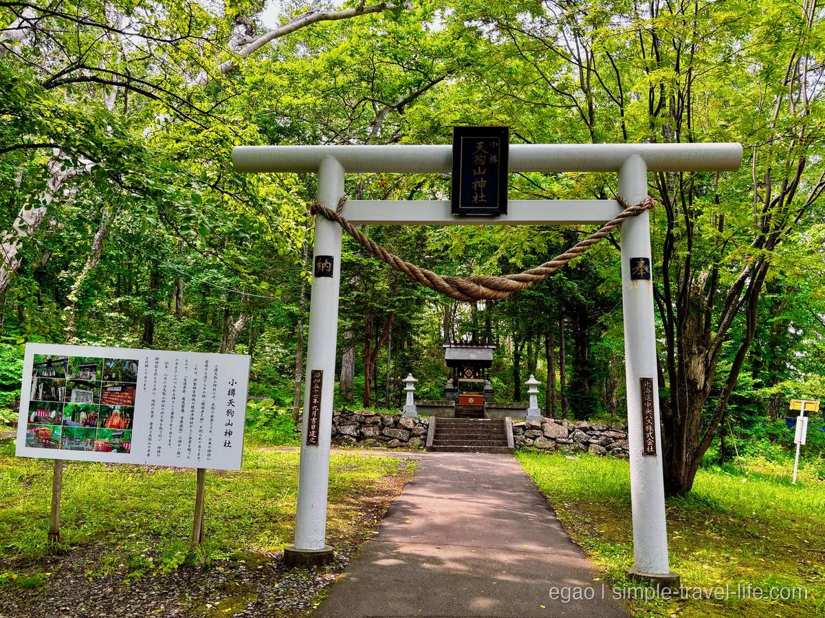 緑の木立の中に立つ小樽天狗山神社の白い鳥居と参道の先の社殿