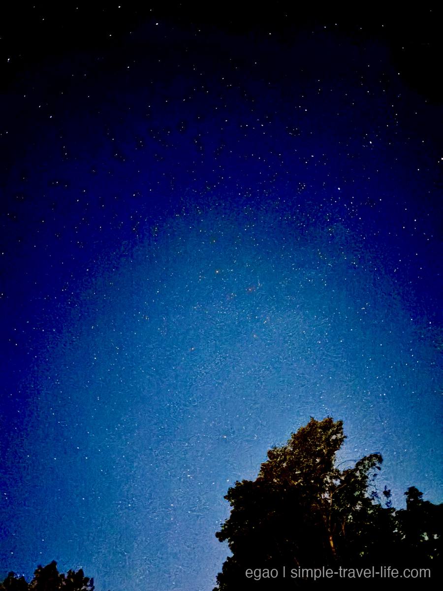 木々の上に広がる佳松御苑の満天の星空
