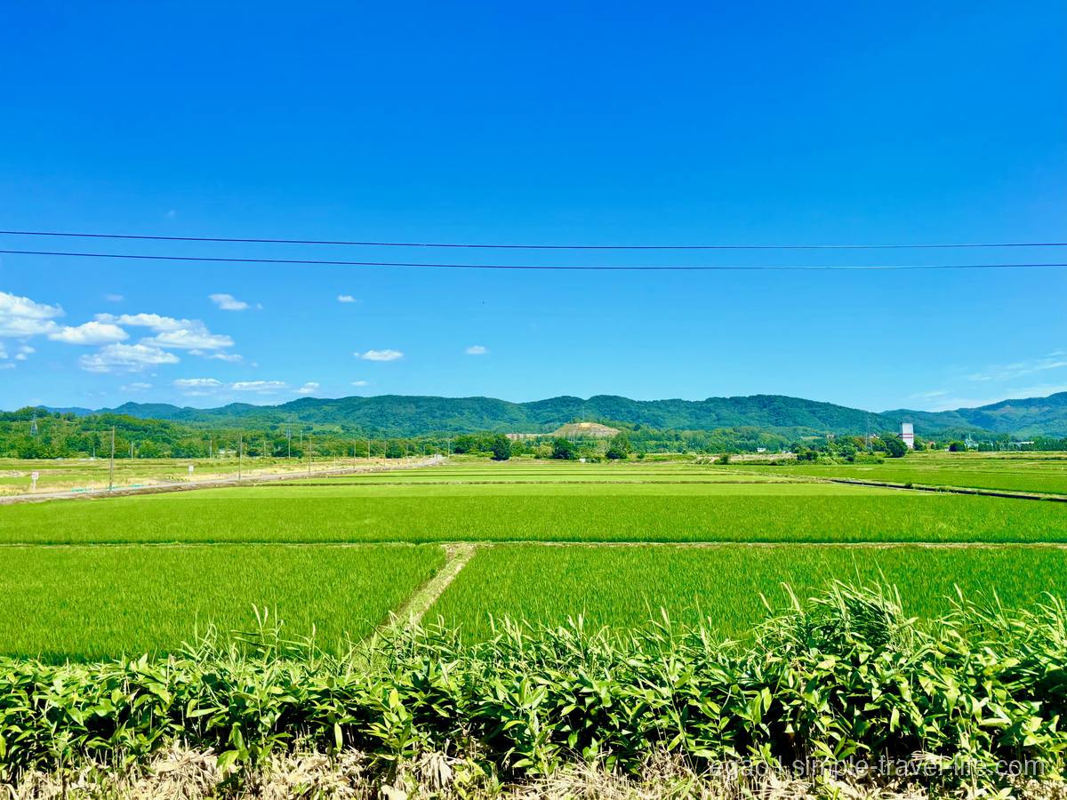 手前の草越しに広がる青々とした水田と、遠くに連なる低い山並み、雲の少ない青空