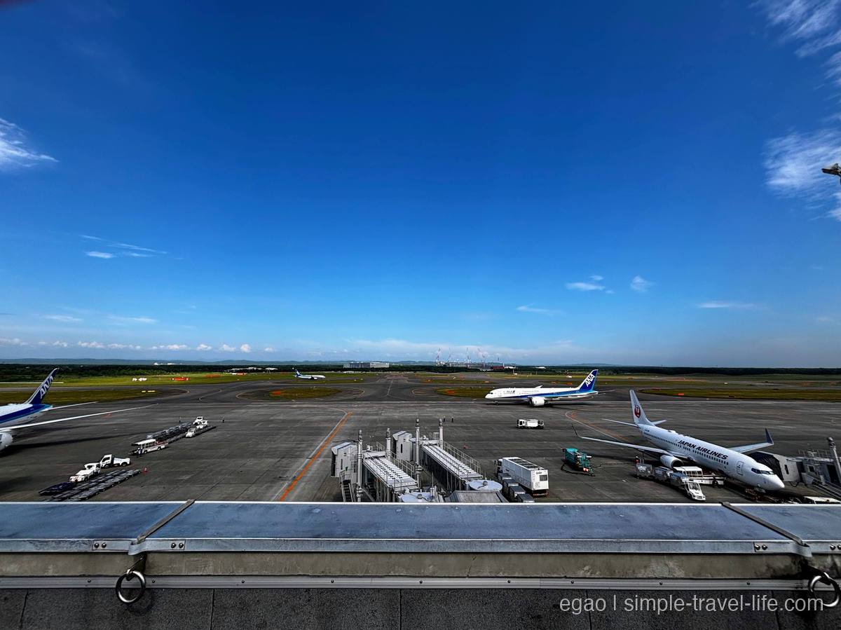 新千歳空港の展望デッキから見た駐機場。青空の下、日本航空と全日空の旅客機が並ぶ