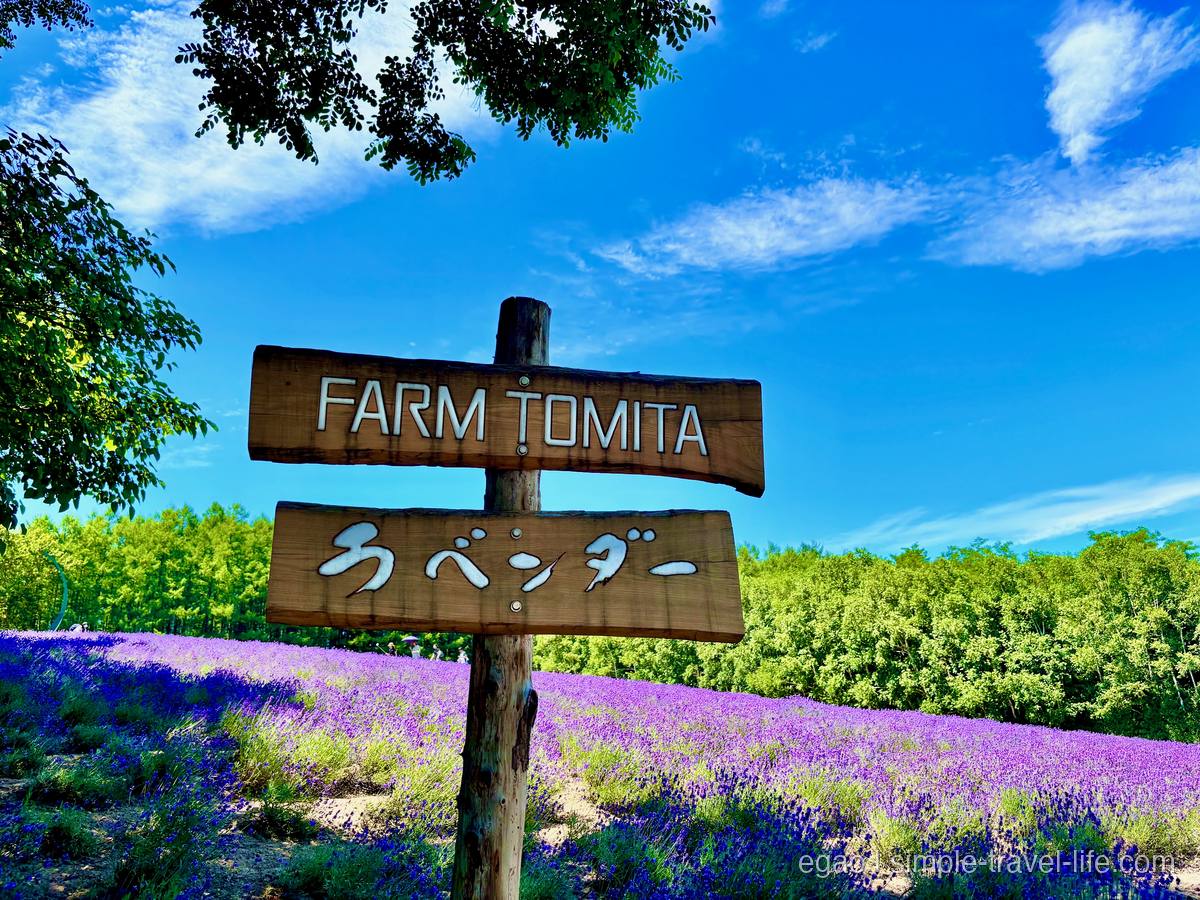 ファーム富田の木製看板とラベンダー畑