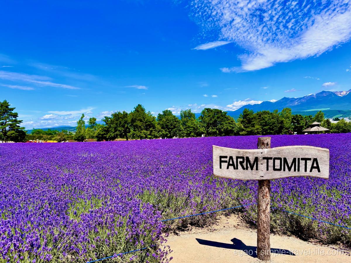 FARM TOMITAの看板とラベンダー畑、奥に十勝岳連峰
