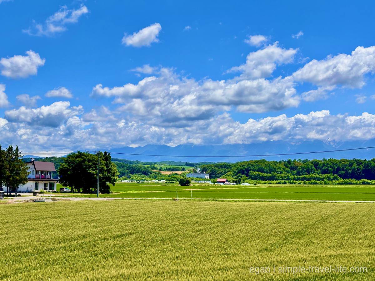 一面に穂の伸びた麦畑の向こうに白い家と林、遠くに雲のかかった山の稜線。青空に白い雲