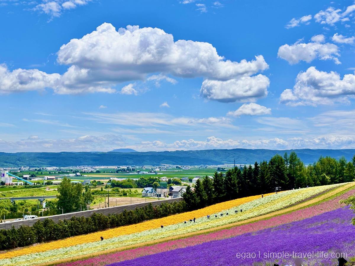 丘の上から見下ろす花畑。黄・白・ピンク・紫の帯が斜面に広がり、畑には作業する人の姿。奥に田園と山なみ