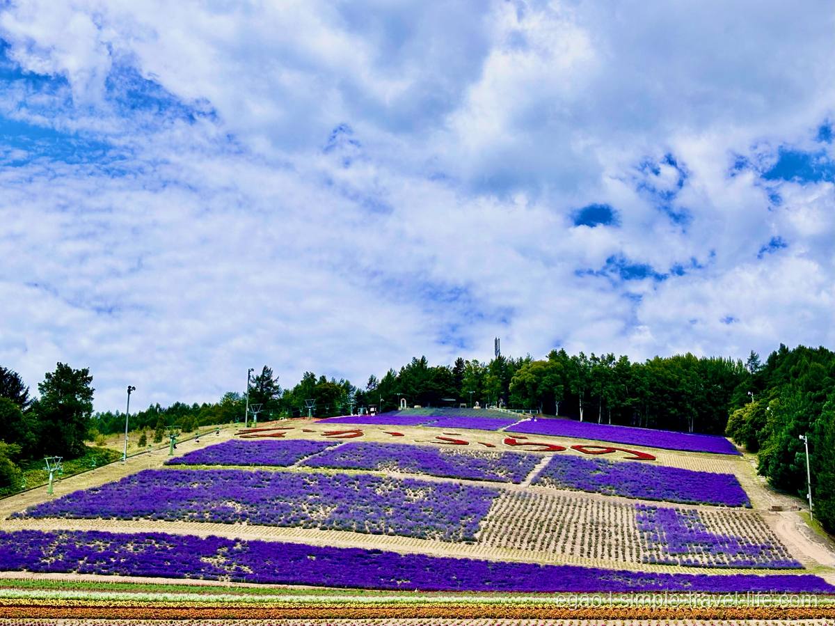 ゆるやかな斜面に紫のラベンダーが区画ごとに植えられた丘。上のほうに赤い花で大きな文字が描かれている
