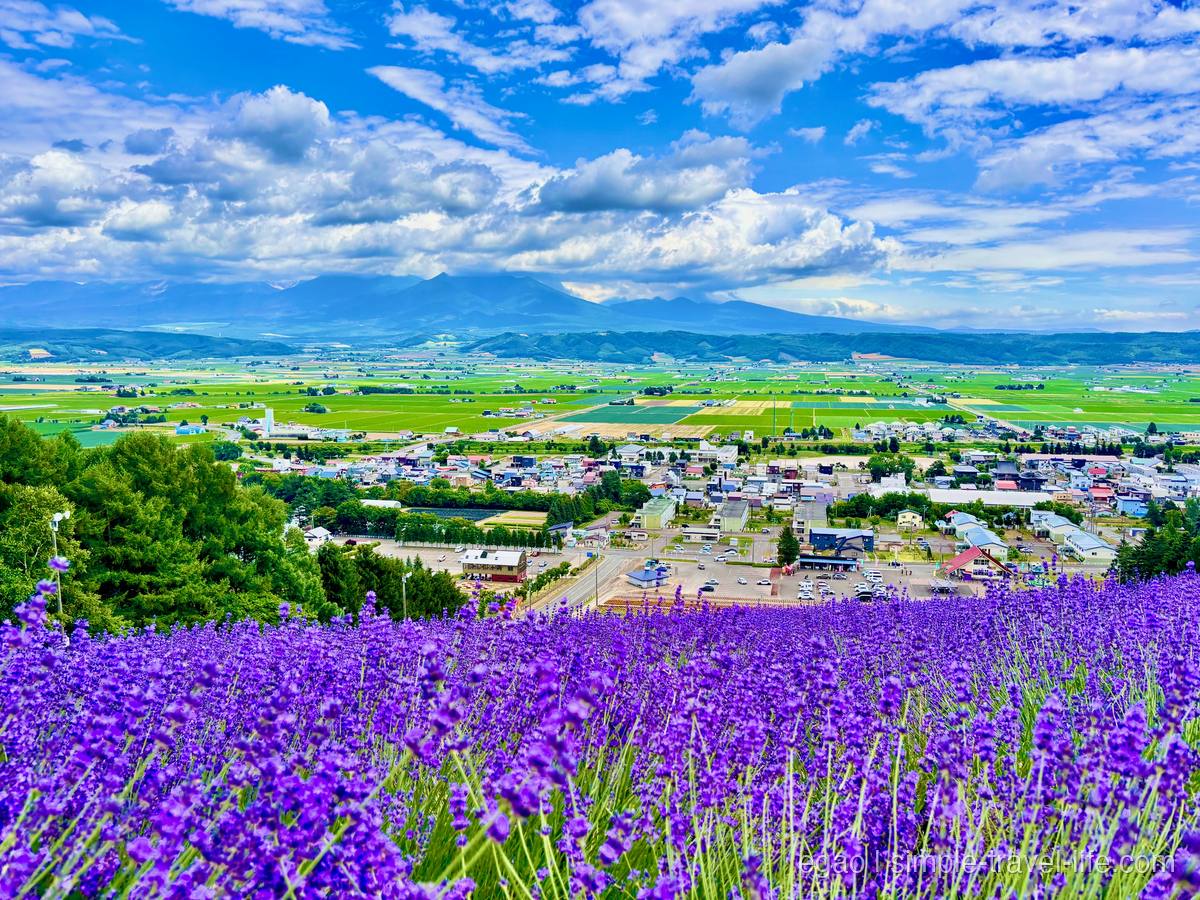 手前一面の紫のラベンダー越しに見下ろす町並みと緑の田畑。奥には雲をかぶった山なみと青空