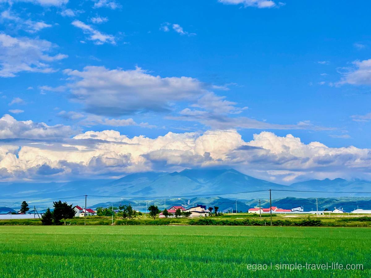 手前に一面の緑の畑、その先に赤い屋根の家並み。奥には雲がかかった山並みと青空
