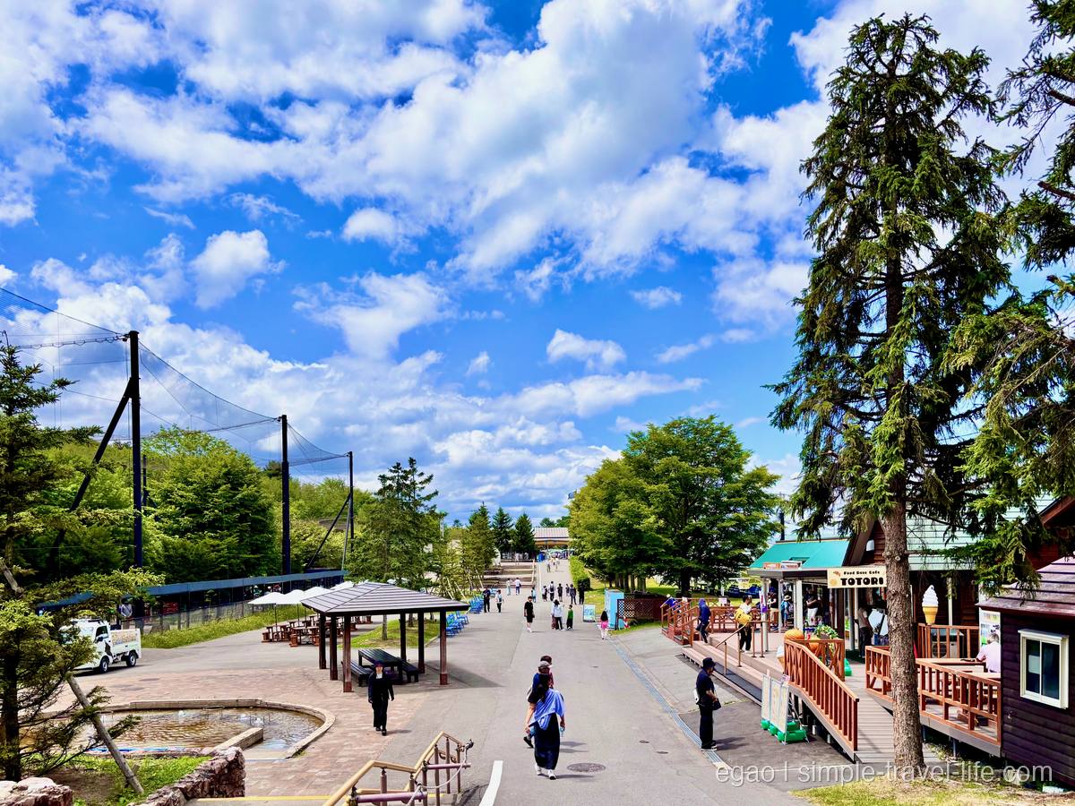 動物園の園内。ゆるやかな坂の通路を歩く人、右手に木造の売店とカフェ、左手にネットで覆われた大きな展示