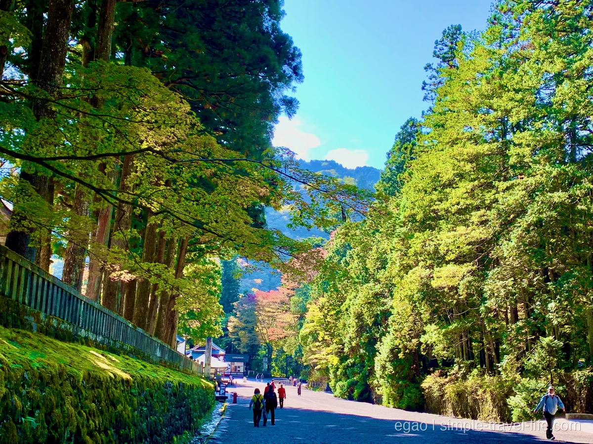 杉の大木に挟まれた広い上り坂の参道と、歩く参拝者、奥に色づき始めた山
