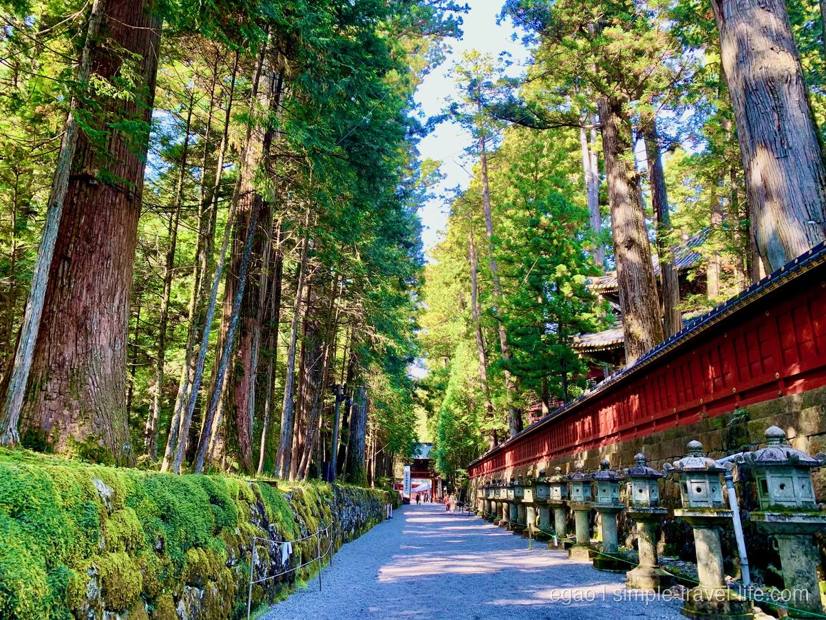 二荒山神社へ続く杉並木の参道