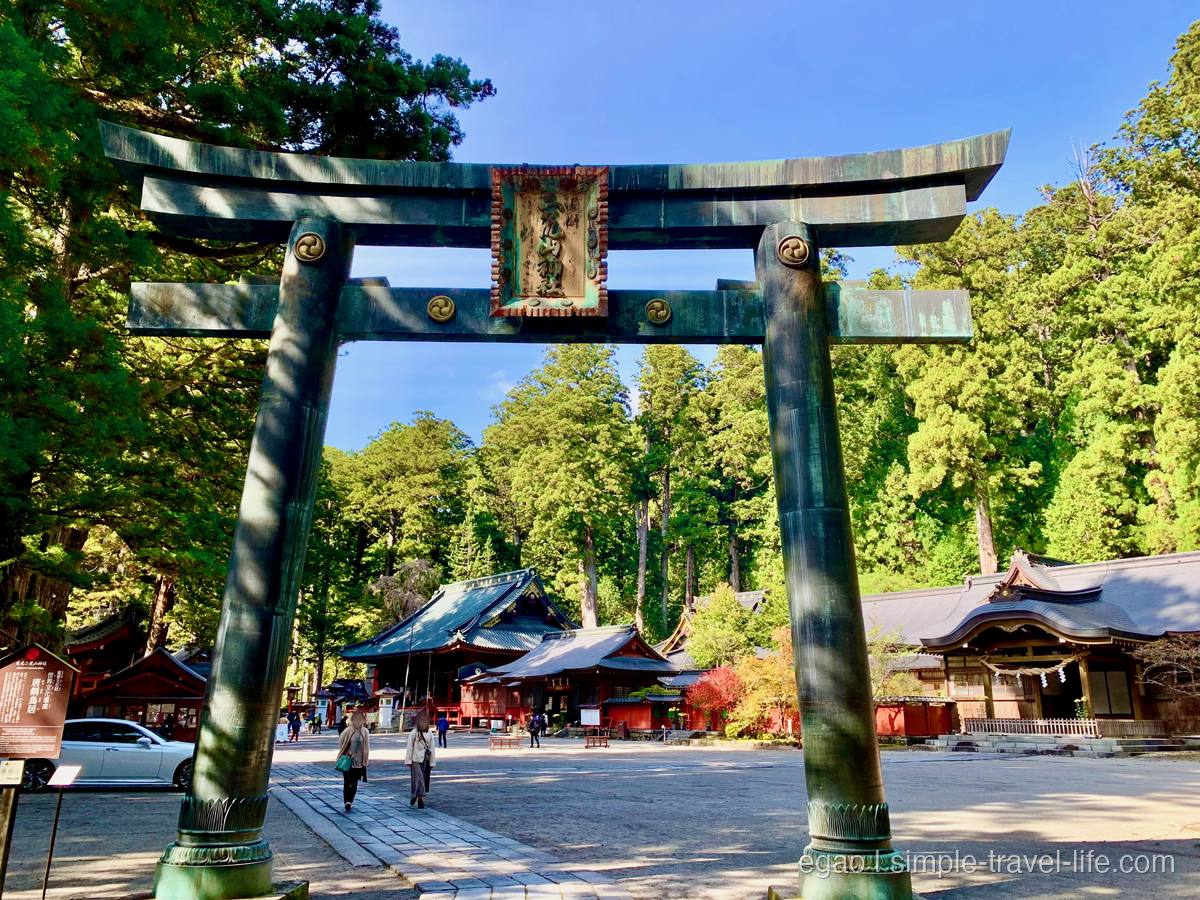 緑青色になった青銅の鳥居と、柱と貫に付いた三つ巴の紋、奥に朱塗りの社殿と杉木立