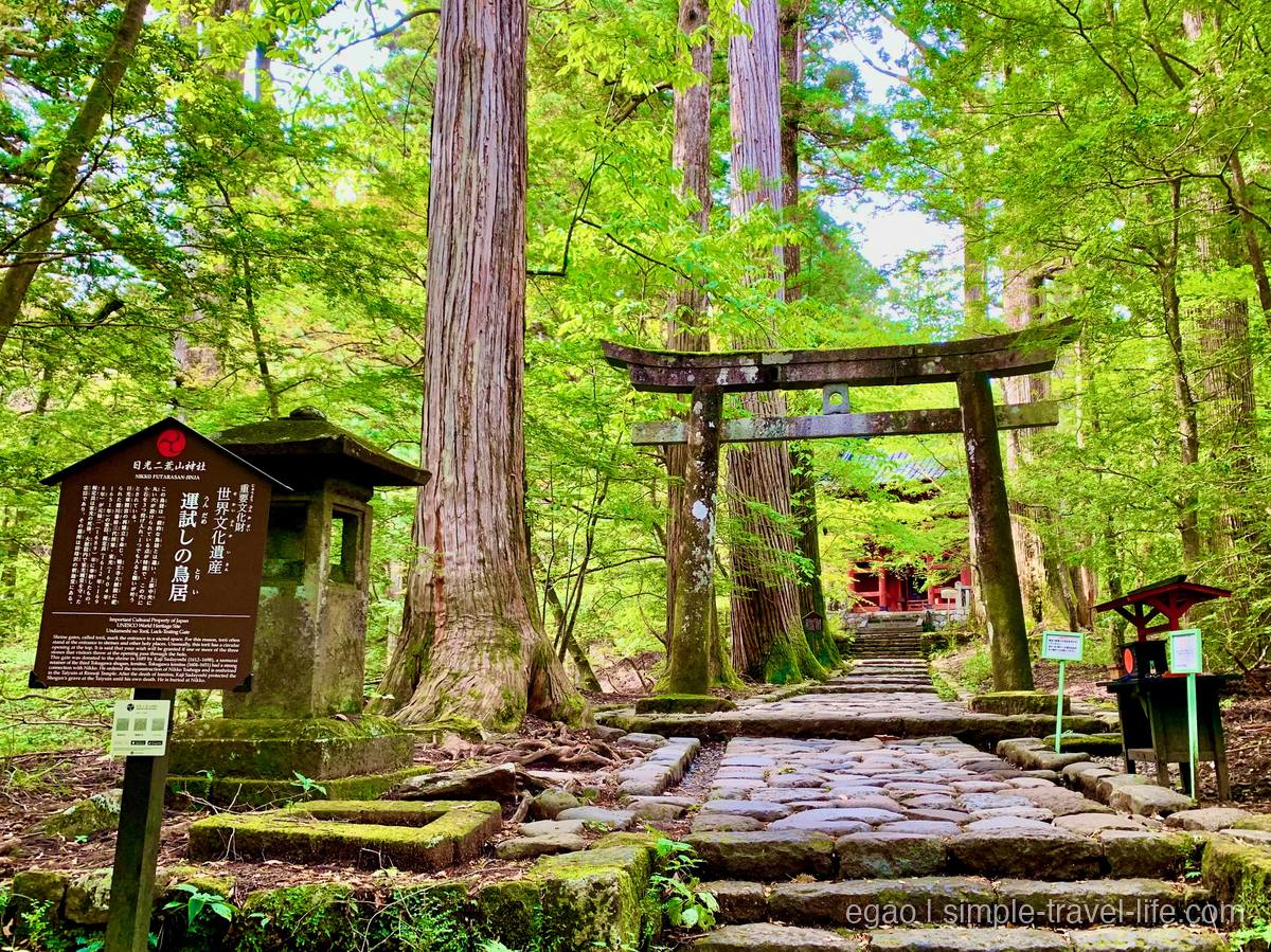 木立の中を上る滝尾神社の石段